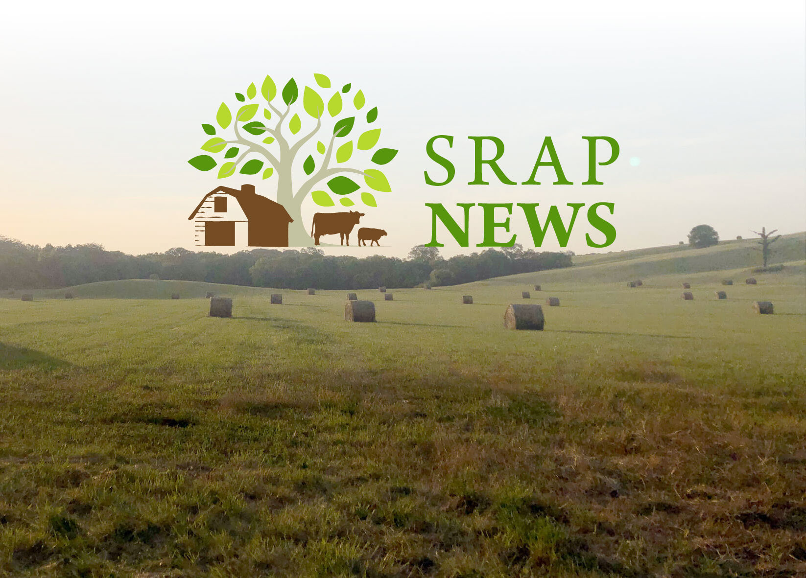Featured image for “SRAP Newsletter – August 2018”