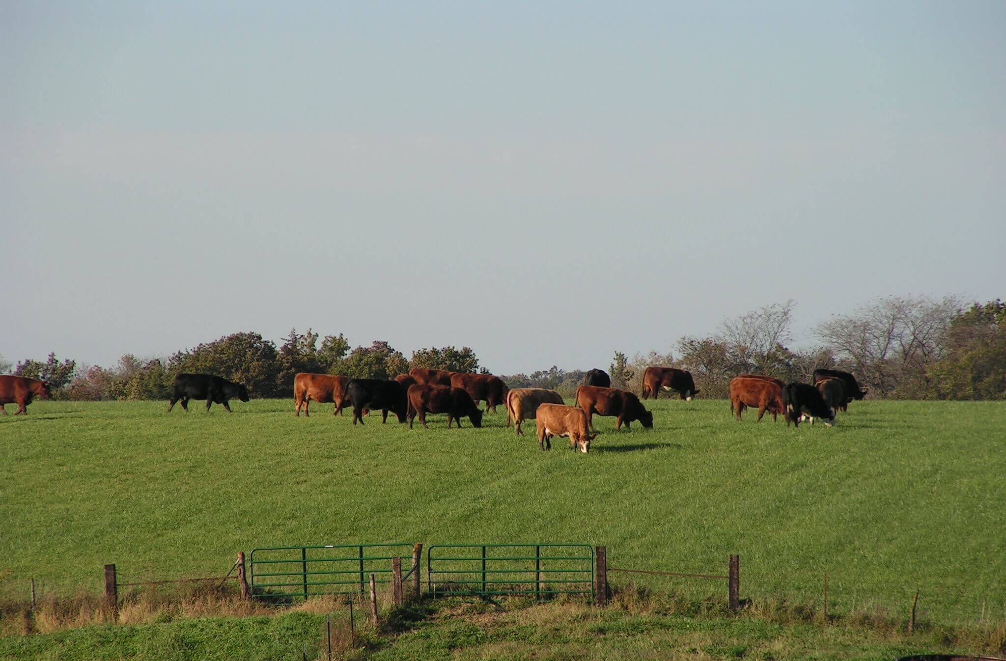 Featured image for “Press Release: Multi-day virtual forum to examine problems, solutions in agriculture”