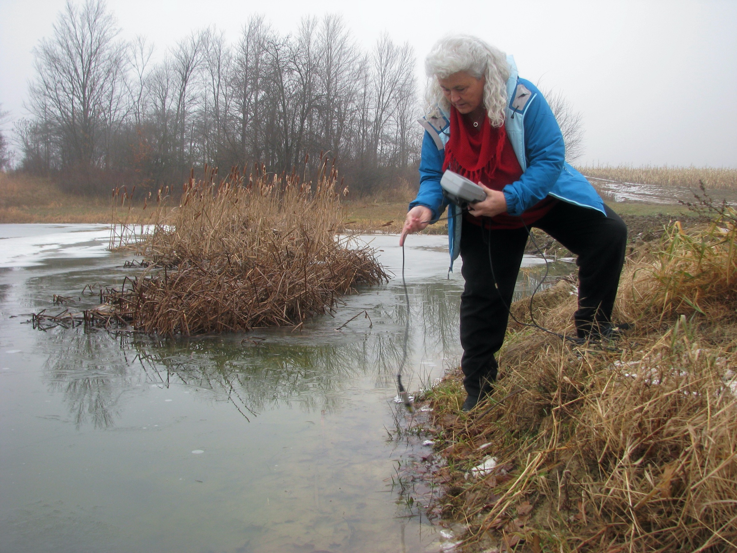 Featured image for “Water Rangers”